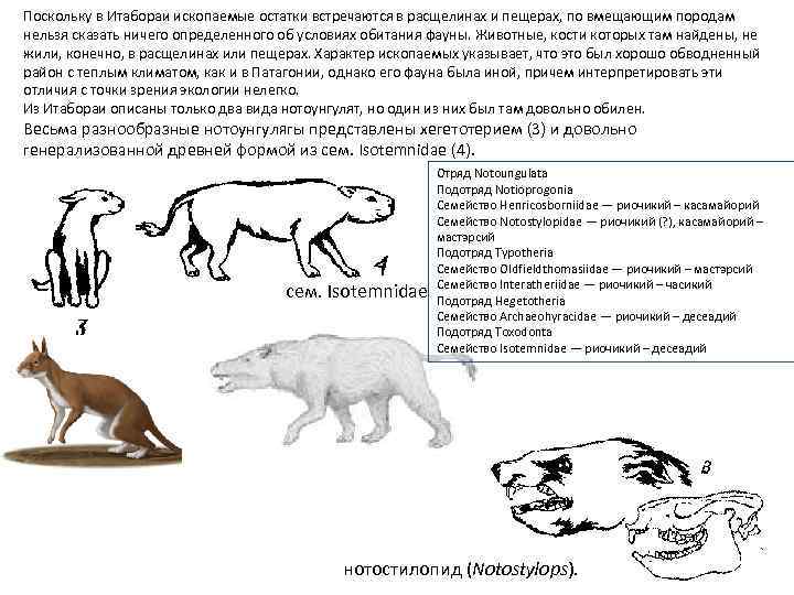 Поскольку в Итабораи ископаемые остатки встречаются в расщелинах и пещерах, по вмещающим породам нельзя