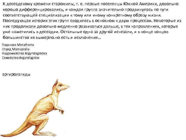 К десеадскому времени старожилы, т. е. первые поселенцы Южной Америки, довольно хорошо дифференцировались, и