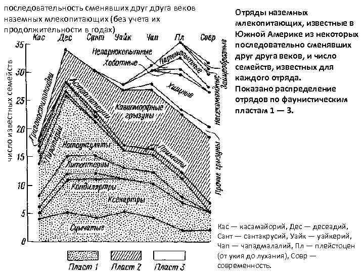 число известных семейств последовательность сменявших друга веков наземных млекопитающих (без учета их продолжительности в
