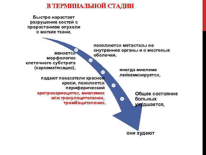 В ТЕРМИНАЛЬНОЙ СТАДИИ Быстро нарастает разрушение костей с прорастанием опухоли в мягкие ткани, меняется