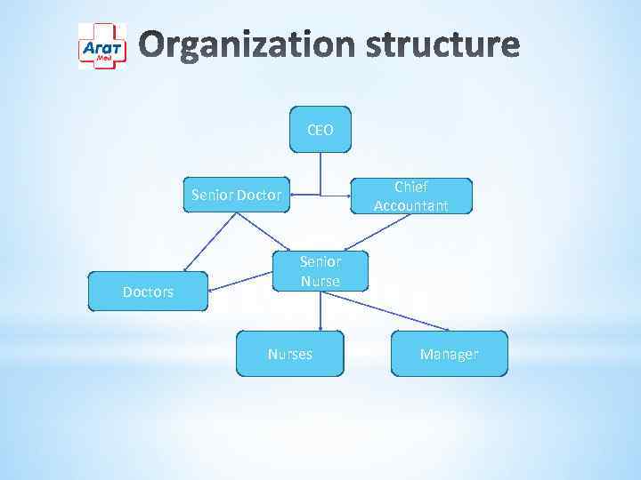 CEO Chief Accountant Senior Doctors Senior Nurses Manager 