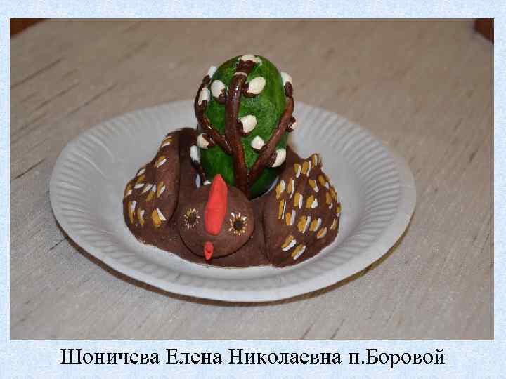 Шоничева Елена Николаевна п. Боровой 