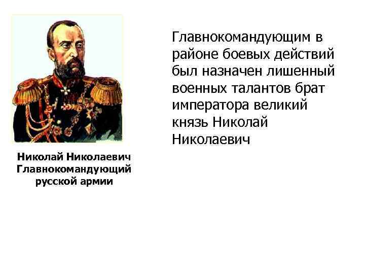 Главнокомандующим в районе боевых действий был назначен лишенный военных талантов брат императора великий князь