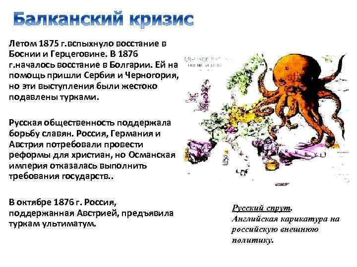 Летом 1875 г. вспыхнуло восстание в Боснии и Герцеговине. В 1876 г. началось восстание