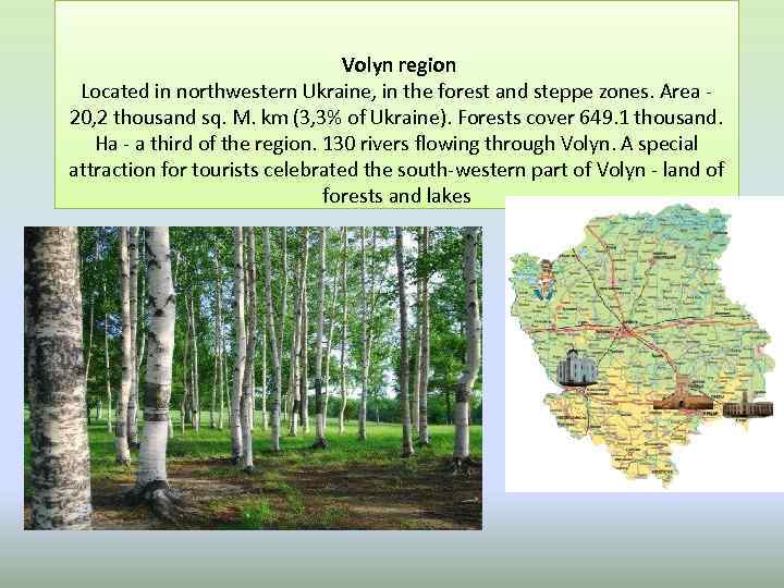 Volyn region Located in northwestern Ukraine, in the forest and steppe zones. Area 20,