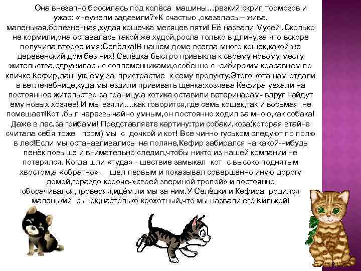 Она внезапно бросилась под колёса машины…резкий скрип тормозов и ужас: «неужели задавили? » К