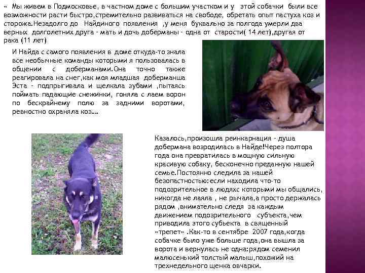  « Мы живем в Подмосковье, в частном доме с большим участком и у