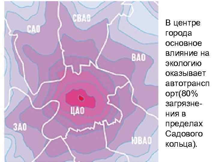 В центре города основное влияние на экологию оказывает автотрансп орт(80% загрязнения в пределах Садового