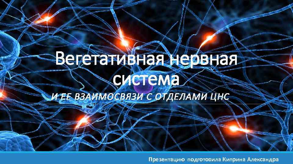 Вегетативная нервная система И ЕЕ ВЗАИМОСВЯЗИ С ОТДЕЛАМИ ЦНС Презентацию подготовила Киприна Александра 