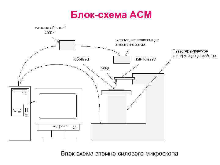  Блок-схема АСМ Блок-схема атомно-силового микроскопа 