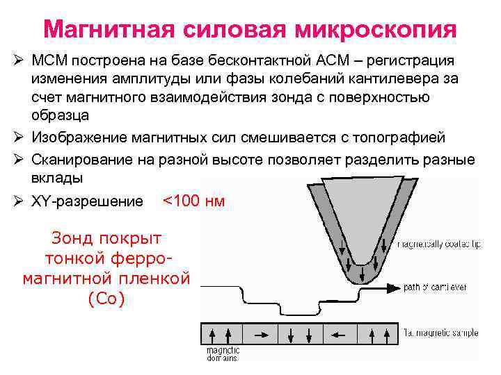 Магнитная силовая