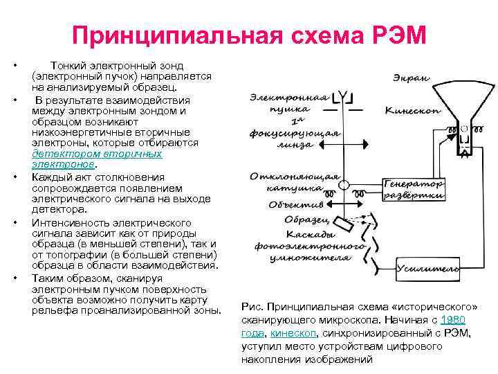 Принципиальная схема РЭМ • • • Тонкий электронный зонд (электронный пучок) направляется на анализируемый