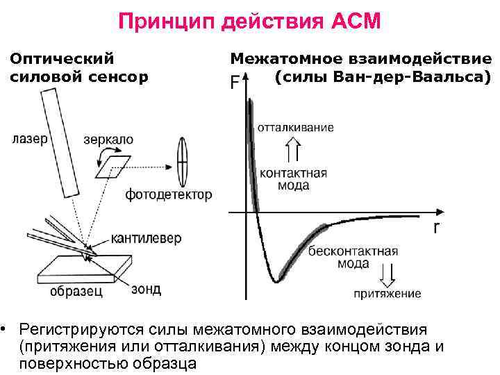 Принцип действия АСМ Оптический силовой сенсор Межатомное взаимодействие (силы Ван-дер-Ваальса) • Регистрируются силы межатомного