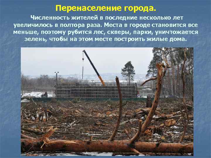 Перенаселение города. Численность жителей в последние несколько лет увеличилось в полтора раза. Места в