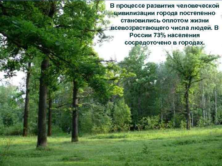В процессе развития человеческой цивилизации города постепенно становились оплотом жизни всевозрастающего числа людей. В
