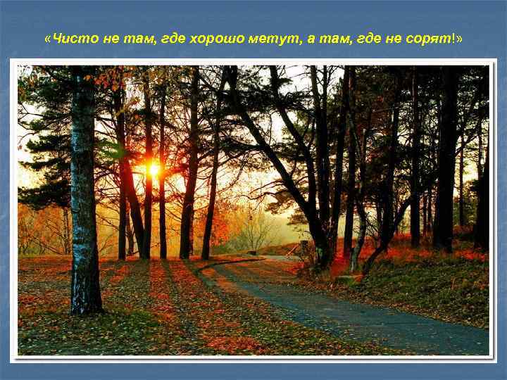 «Чисто не там, где хорошо метут, а там, где не сорят!» 