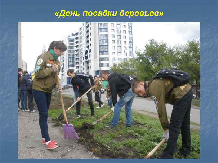  «День посадки деревьев» 