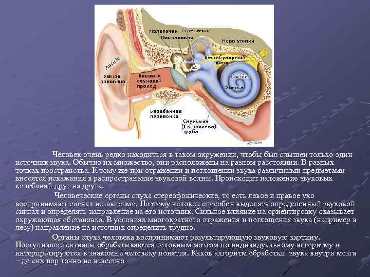 Человек очень редко находиться в таком окружении, чтобы был слышен только один источник звука.
