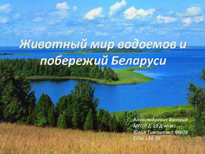 Животный мир водоемов и побережий Беларуси Александрович Валерия МГОЛ 2, 10 Д класс Юлия
