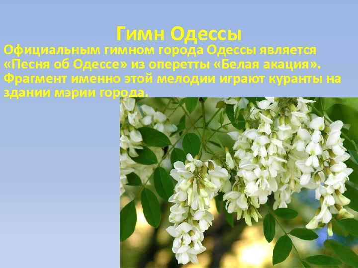 Гимн Одессы Официальным гимном города Одессы является «Песня об Одессе» из оперетты «Белая акация»