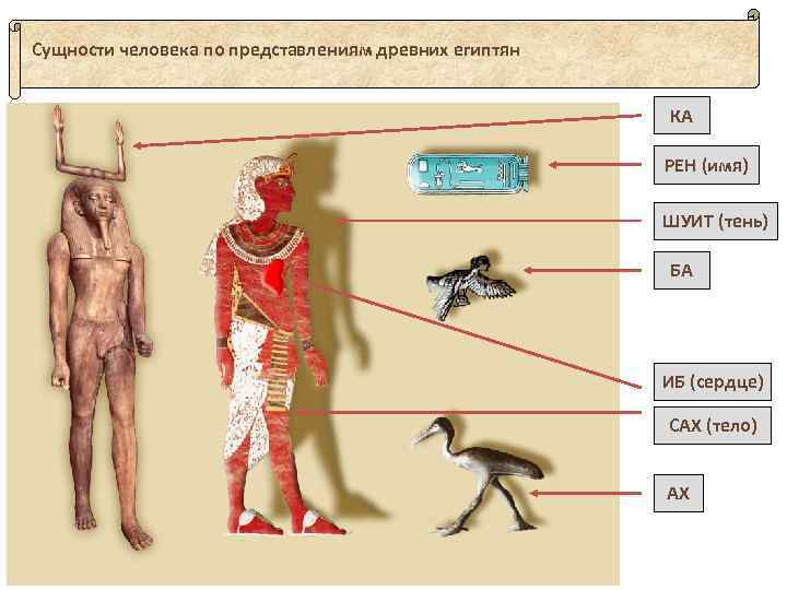 Сущности человека по представлениям древних египтян КА РЕН (имя) ШУИТ (тень) БА ИБ (сердце)