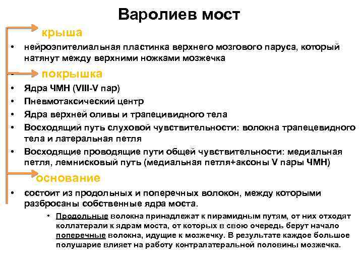 Варолиев мост крыша • нейроэпителиальная пластинка верхнего мозгового паруса, который натянут между верхними ножками