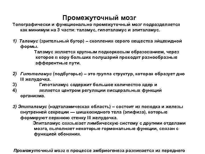 Промежуточный мозг Топографически и функционально промежуточный мозг подразделяется как минимум на 3 части: таламус,