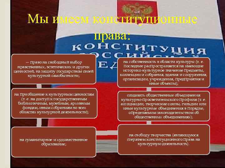 Мы имеем конституционные права: — право на свободный выбор нравственных, эстетических и других ценностей,