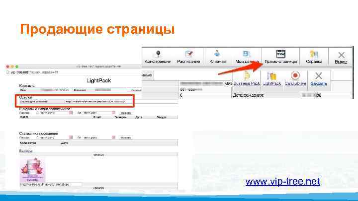 Продающие страницы www. vip-tree. net 