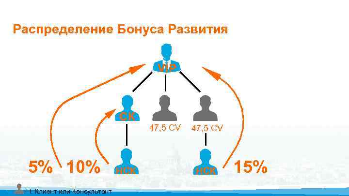Распределение Бонуса Развития VIP СК 5% 10% П. Клиент или Консультант НСК 47, 5