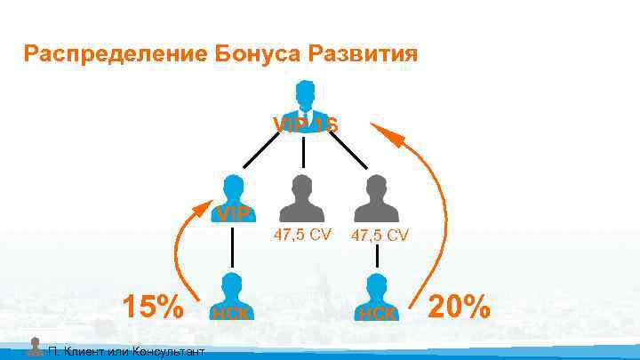 Распределение Бонуса Развития VIP 1 S VIP 15% П. Клиент или Консультант НСК 47,