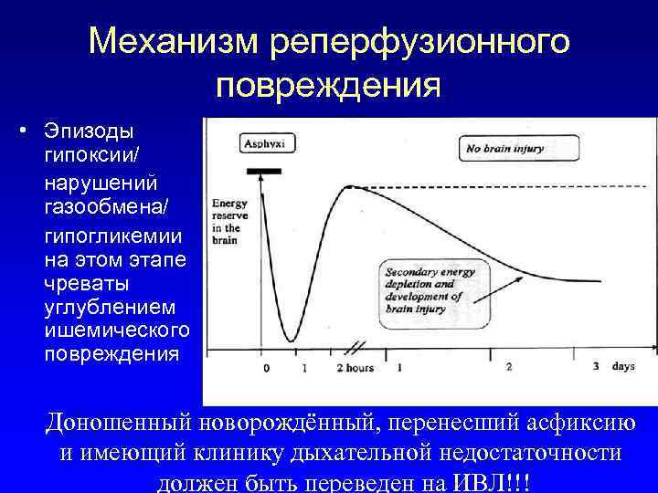 Механизм реперфузионного повреждения • Эпизоды гипоксии/ нарушений газообмена/ гипогликемии на этом этапе чреваты углублением