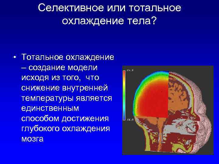 Селективное или тотальное охлаждение тела? • Тотальное охлаждение – создание модели исходя из того,