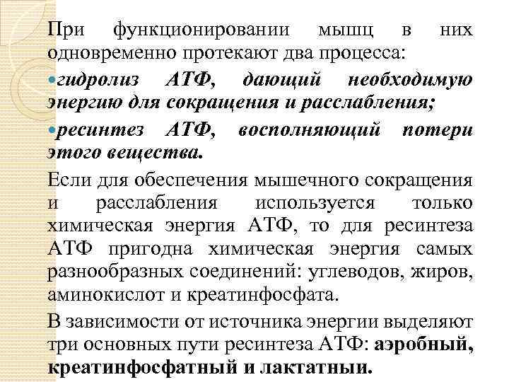 При функционировании мышц в них одновременно протекают два процесса: гидролиз АТФ, дающий необходимую энергию