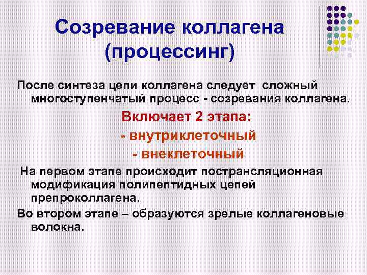 Созревание коллагена (процессинг) После синтеза цепи коллагена следует сложный многоступенчатый процесс - созревания коллагена.