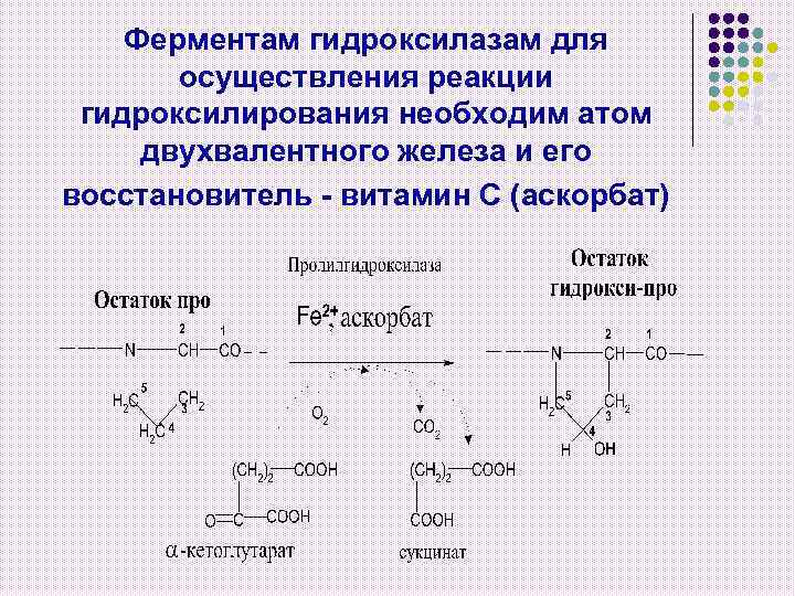 Ферментам гидроксилазам для осуществления реакции гидроксилирования необходим атом двухвалентного железа и его восстановитель -