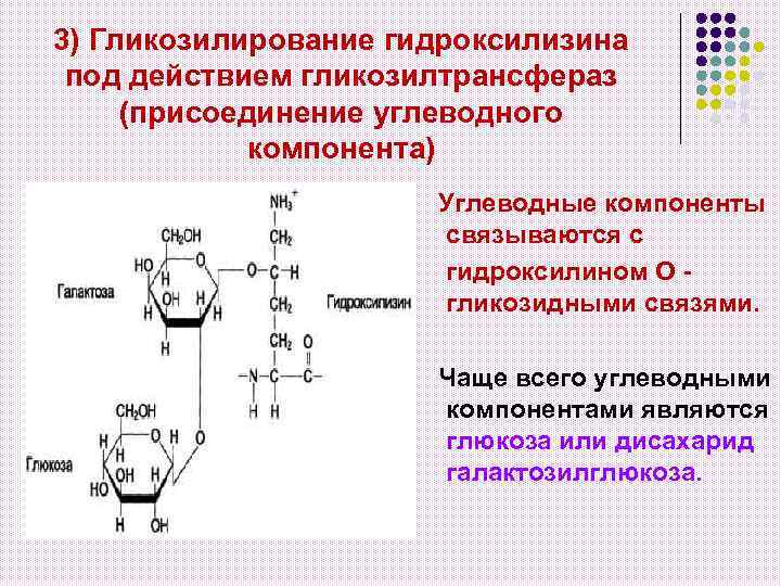 3) Гликозилирование гидроксилизина под действием гликозилтрансфераз (присоединение углеводного компонента) Углеводные компоненты связываются с гидроксилином