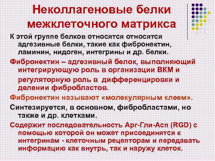Неколлагеновые белки межклеточного матрикса К этой группе белков относятся адгезивные белки, такие как фибронектин,