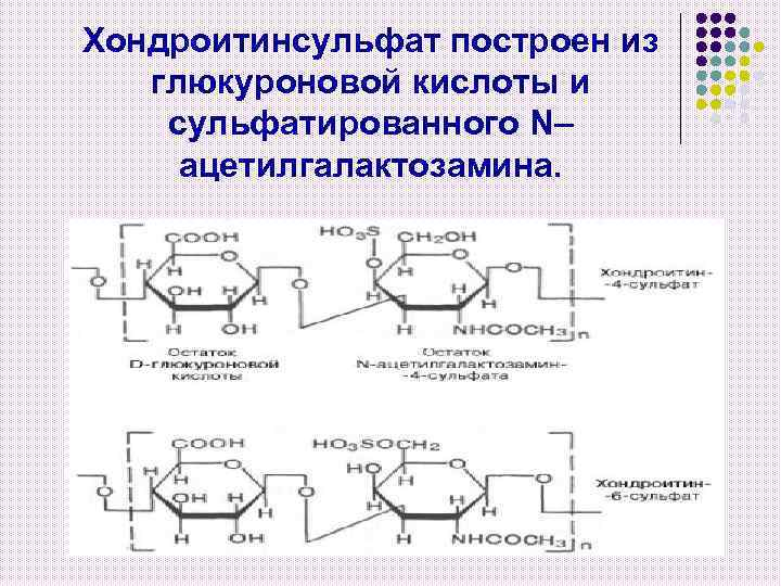 Хондроитинсульфат построен из глюкуроновой кислоты и сульфатированного N– ацетилгалактозамина. 