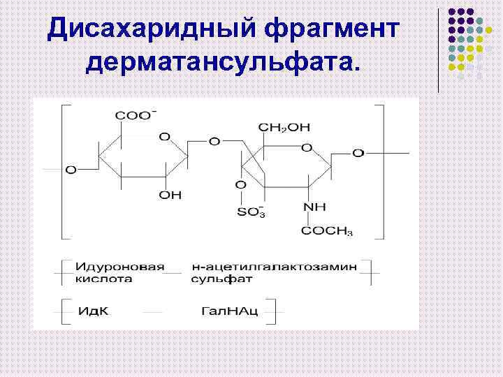 Дисахаридный фрагмент дерматансульфата. 