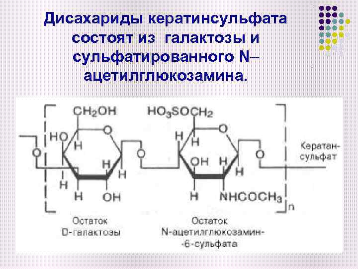 Дисахариды кератинсульфата состоят из галактозы и сульфатированного N– ацетилглюкозамина. 