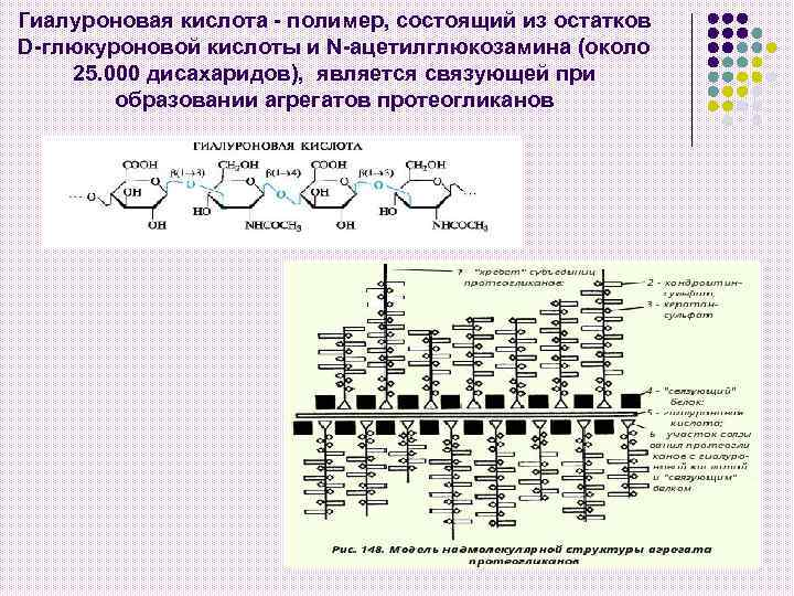 Гиалуроновая кислота - полимер, состоящий из остатков D-глюкуроновой кислоты и N-ацетилглюкозамина (около 25. 000