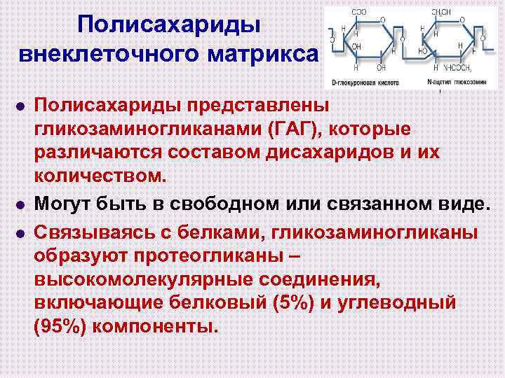 Полисахариды внеклеточного матрикса l l l Полисахариды представлены гликозаминогликанами (ГАГ), которые различаются составом дисахаридов