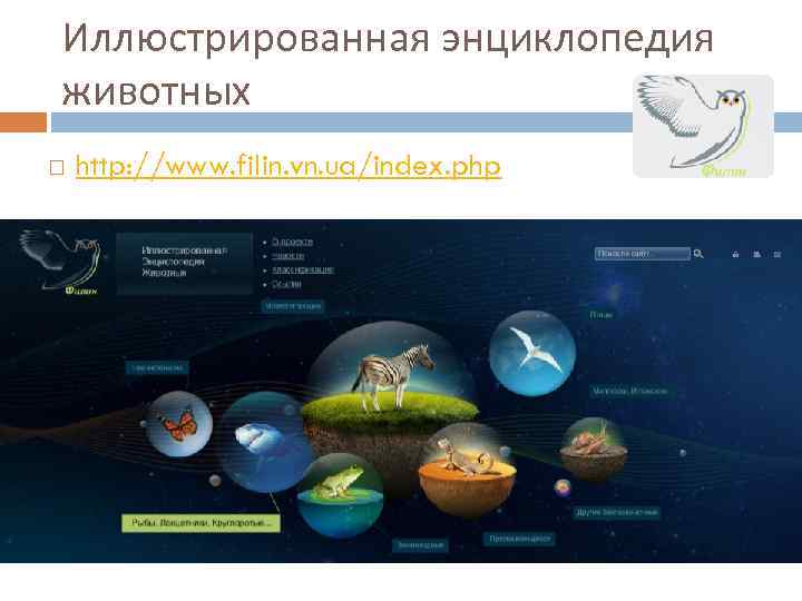 Иллюстрированная энциклопедия животных http: //www. filin. vn. ua/index. php 