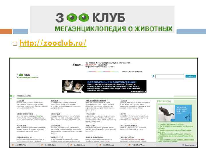  http: //zooclub. ru/ 