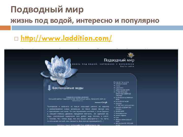 Подводный мир жизнь под водой, интересно и популярно http: //www. laddition. com/ 