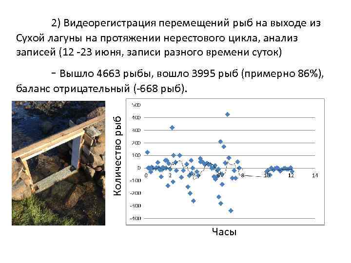 2) Видеорегистрация перемещений рыб на выходе из Сухой лагуны на протяжении нерестового цикла, анализ