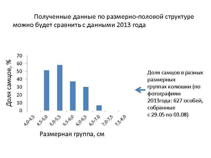 Доля самцов, % Полученные данные по размерно-половой структуре можно будет сравнить с данными 2013