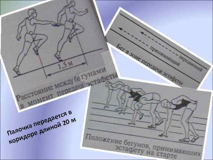 тся в е еда 20 м пер ной очка дли Пал оре д ори