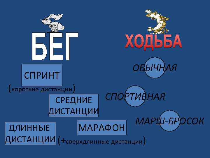 СПРИНТ ОБЫЧНАЯ (короткие дистанции) СРЕДНИЕ СПОРТИВНАЯ ДИСТАНЦИИ МАРШ-БРОСОК ДЛИННЫЕ МАРАФОН ДИСТАНЦИИ (+сверхдлинные дистанции) 